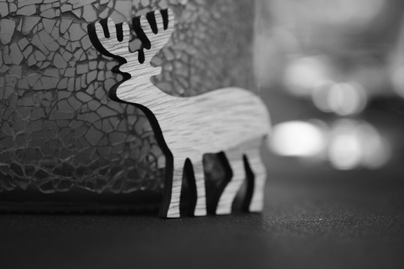 X-T30-20231210142637-01